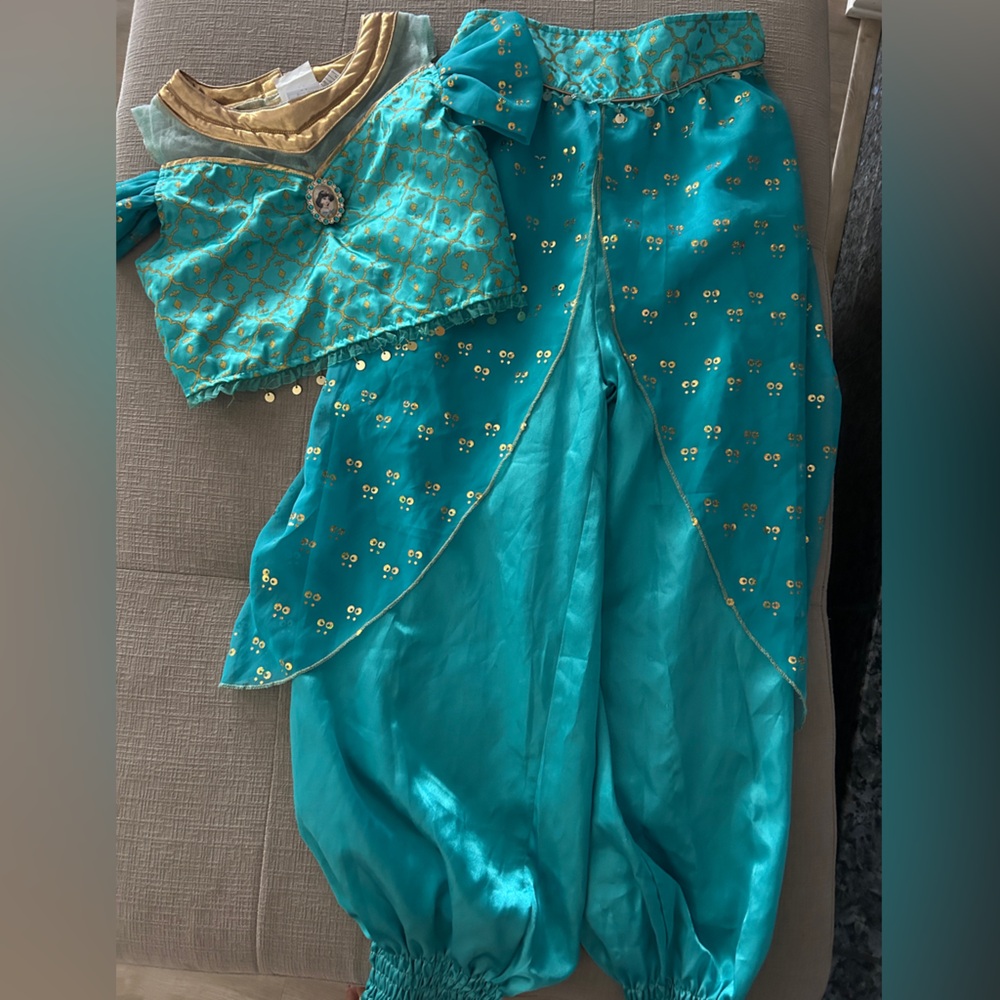 Disney Princess Jasmine Costume - Teal and Gold